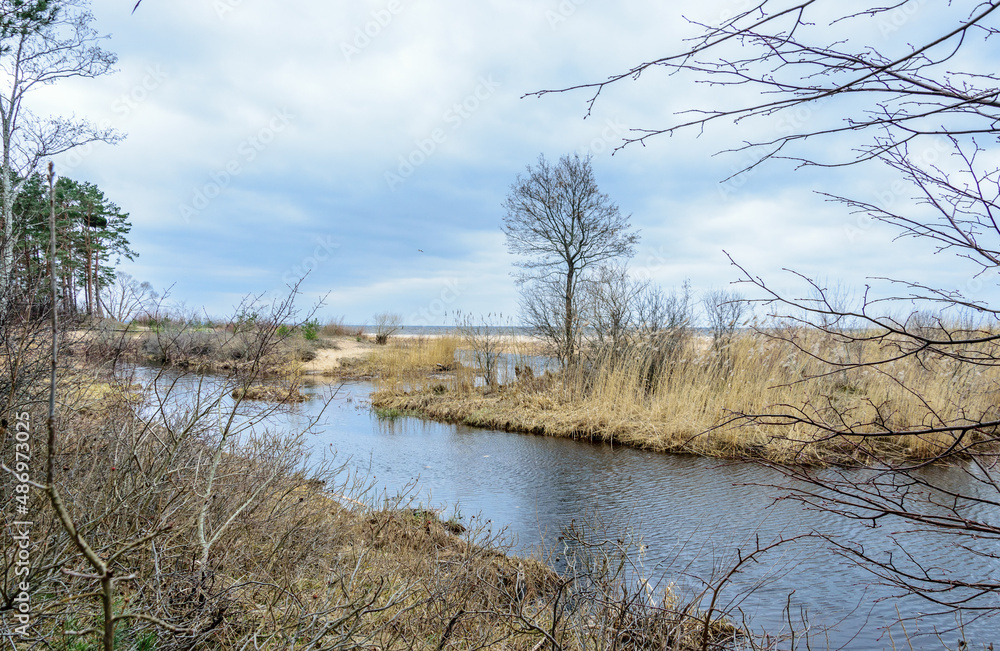 A small river flows into the Gulf of Riga in the Baltic Sea in winter. A small river flows into the Gulf of Riga in the Baltic Sea in winter.