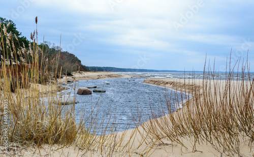 Fototapeta Naklejka Na Ścianę i Meble -  A small river flows into the Gulf of Riga in the Baltic Sea in winter