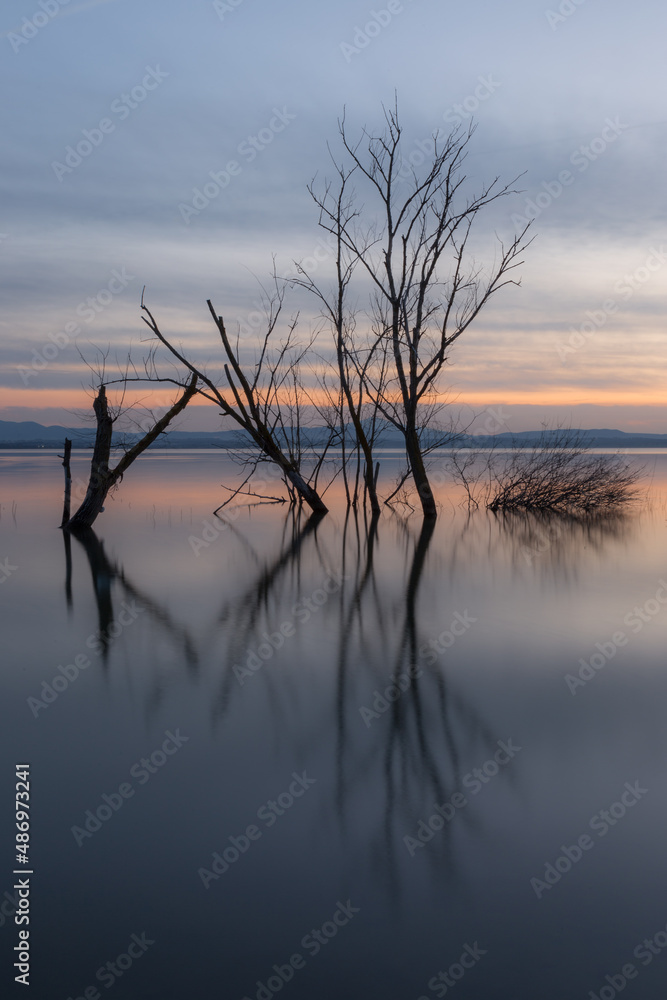 Perfectly symmetric trees reflections on a lake at dusk Perfectly symmetric trees reflections on a lake at dusk