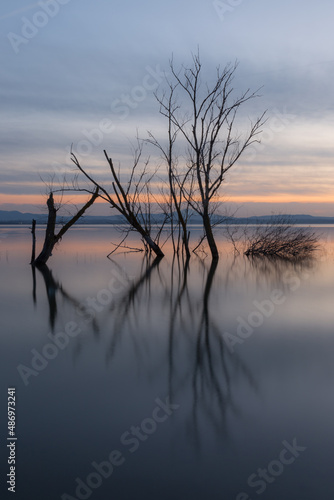 Perfectly symmetric trees reflections on a lake at dusk