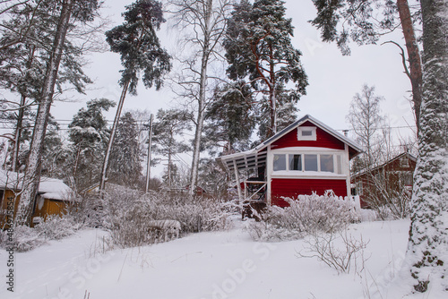 Red wooden finnish house in winter covered with snow. © n_bernardita