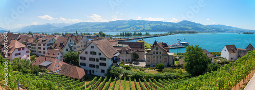 tourist resort Rapperswil, green vineyard, view from the castle photo