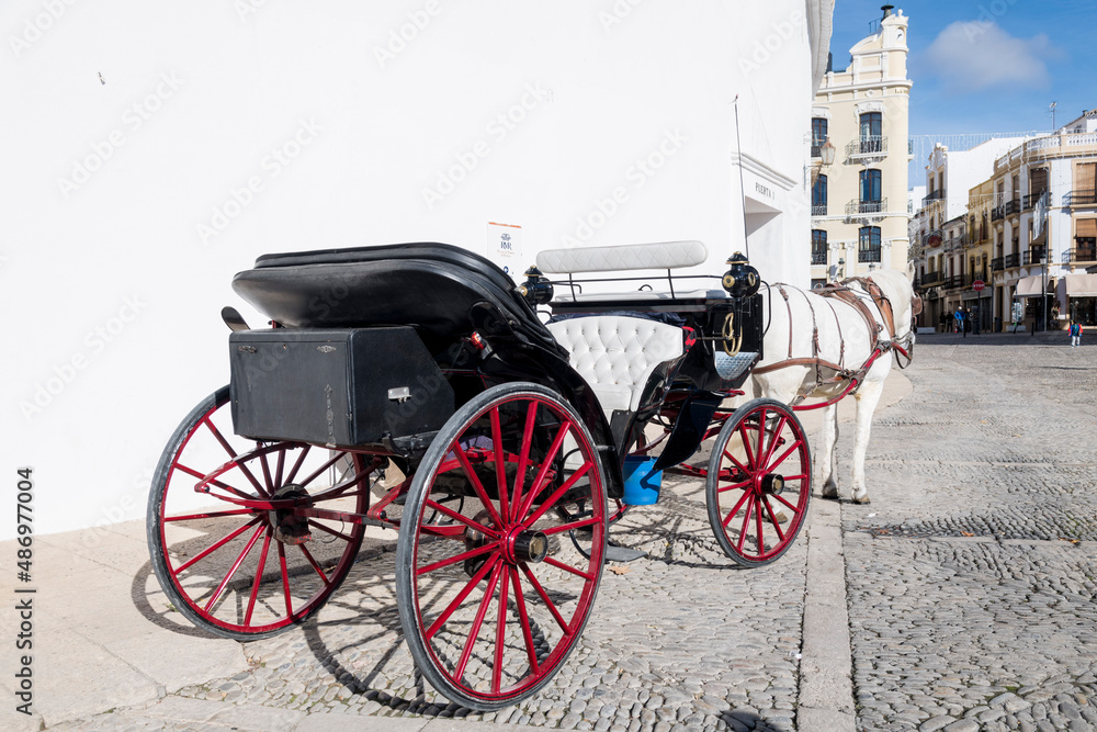 La calesa de cabina, carro de caballos delante de  plaza de toros: Plaza Teniente Arce, Ronda, provincia de Málaga, Andalucía, España