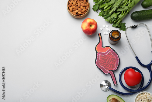 Layout of gastrointestinal tract model with stethoscope and products to help digestion on light table, top view. space for text photo