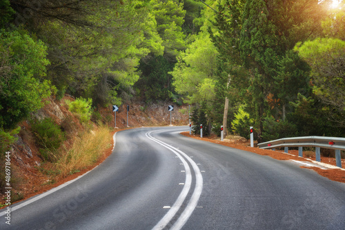 Road in green forest at sun...