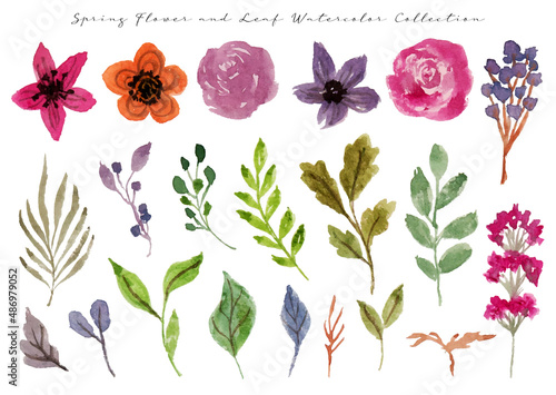 set of cute and beautiful spring flower watercolor