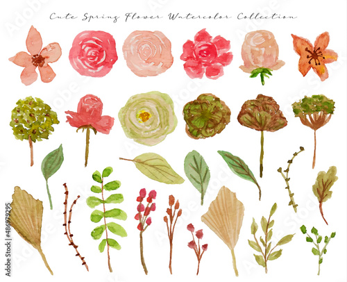 collection of beautiful hand painted spring flower watercolor
