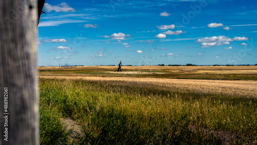 field and sky