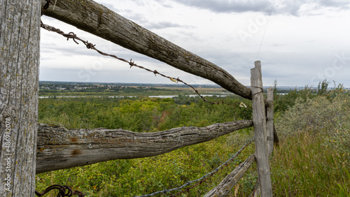 fence in the field
