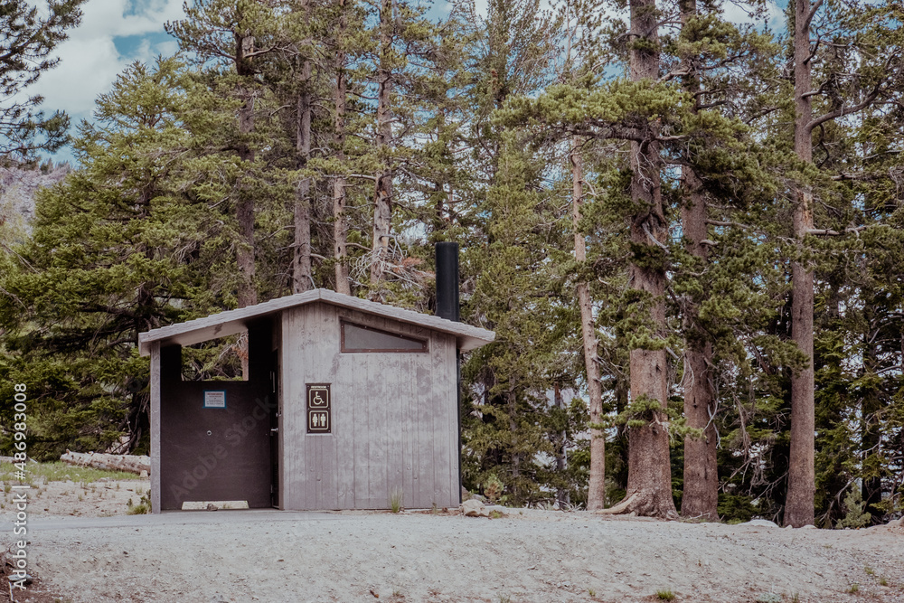 bathroom in forest