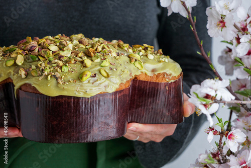 Colomba di Pasqua in the woman shef hands, traditional italian easter dove cake with green pistachio glaze, fresh spring flowers, pasqua cake