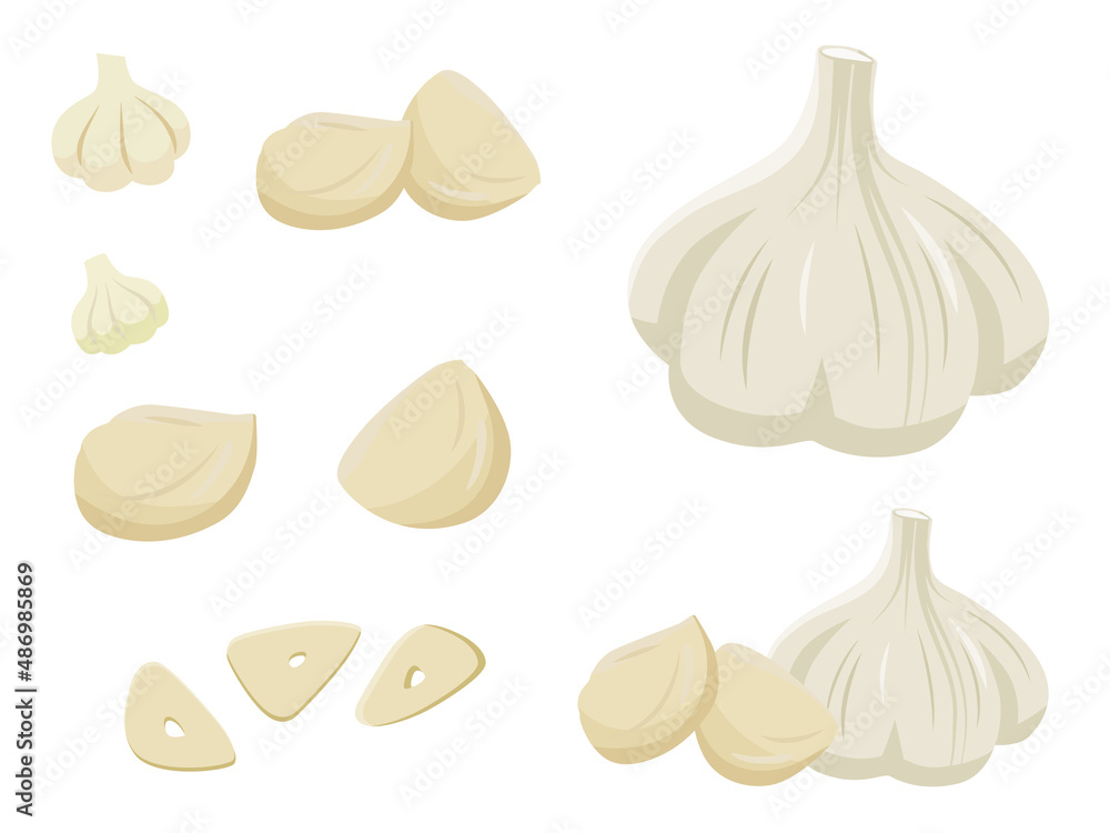 ニンニクのイラスト(ガーリック、スタミナ、スパイス、野菜) An illustration of garlic.Garlic, stamina, spices and vegetables. - obrazy, fototapety, plakaty 