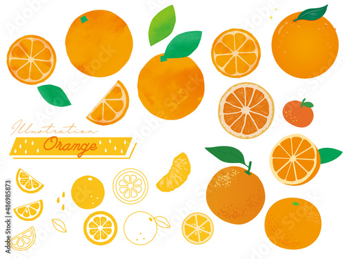 オレンジのイラスト集(果物、みかん、柑橘、水彩、線画、輪切り、リアル)
Orange illustration collection.Fruit, tangerine, citrus, watercolor, line drawing, round cutting, real.