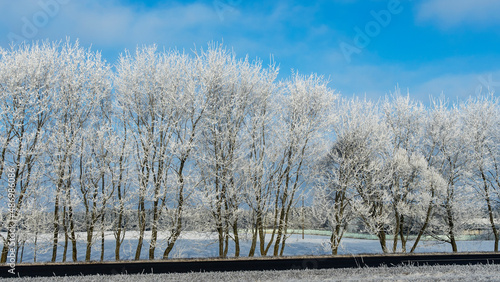Snow-covered tree branches against the blue sky. Trees are covered with snow and hoarfrost against the blue sky. © kalyanby
