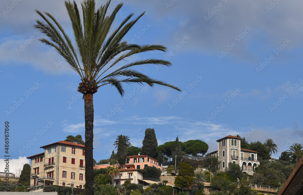 View of the hill overlooking the coastal town of Bordighera in the so-called 