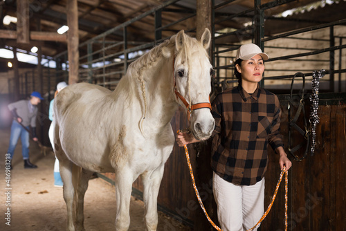 Asian woman horse breeder leading white horse through horse barn. © JackF