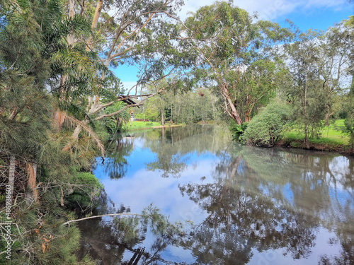 Tree lined riverbank at Dora Creek Cooranbong New South Wales Australia