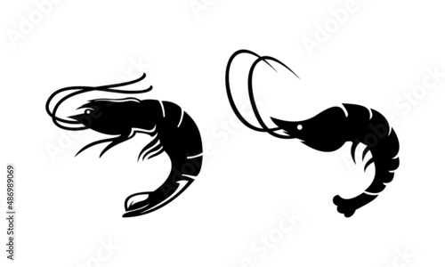 vector shrimp logo template