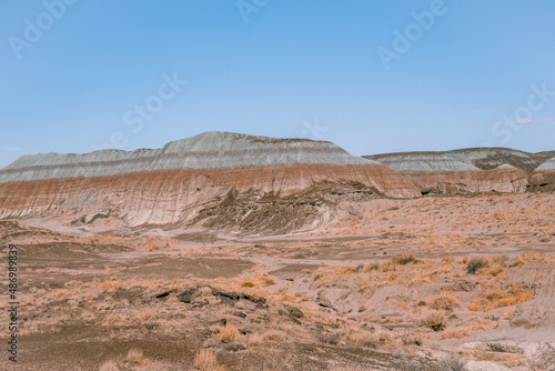 rocks in the desert