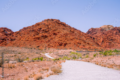 red rock canyon in the desert