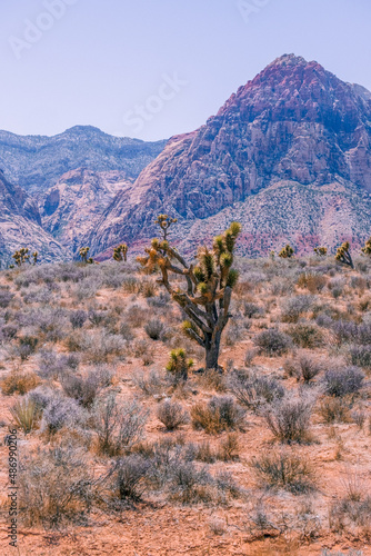 landscape in the mountains