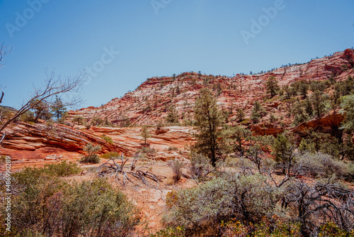 red rock canyon