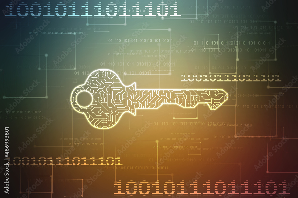 Naklejka premium Digital key icon protecting data personal information. Data protection privacy Concept, Information privacy internet technology, Key to success or solution, Cyber Security Concept