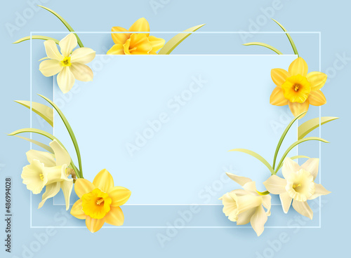 Romantic delicate background with floral border of daffodils. Template for greeting card, invitation. Vector illustration.