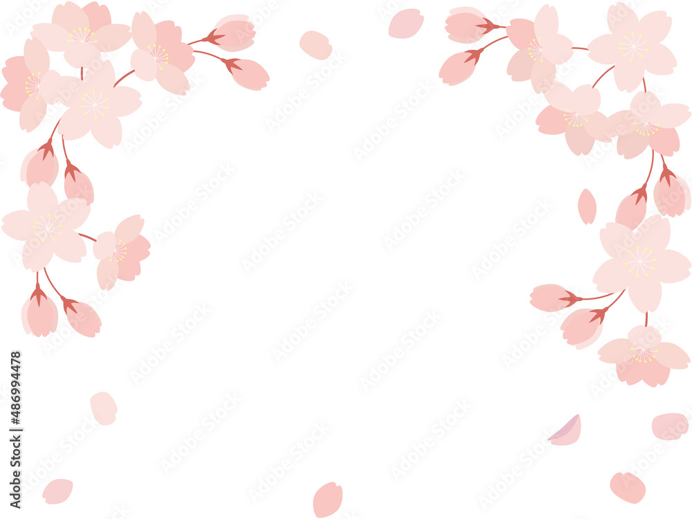 桜の花と花びらのイラストの背景素材
