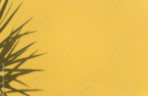 Natural shadow botanical plant overlay on cement wall abstract texture background with space. Clean minimal. For your display  overlay  presentation  backdrop  or mockup.