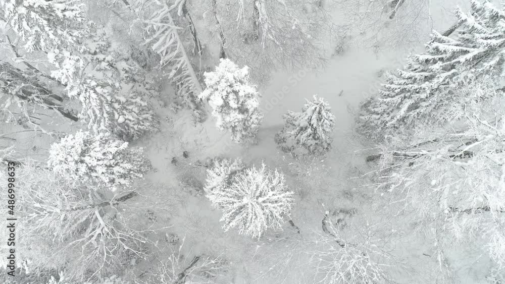 Aerial shot of two mountaineers hiking in winter, the forest is covered in snow Aerial shot of two mountaineers hiking in winter, the forest is covered in snow