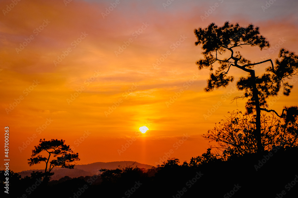 silhouette concept of Sunset View Point at Phu Ruea National Park, Loei, Thailand with Golden sky background and pinus kesiya tree on twilight tone after sunset.