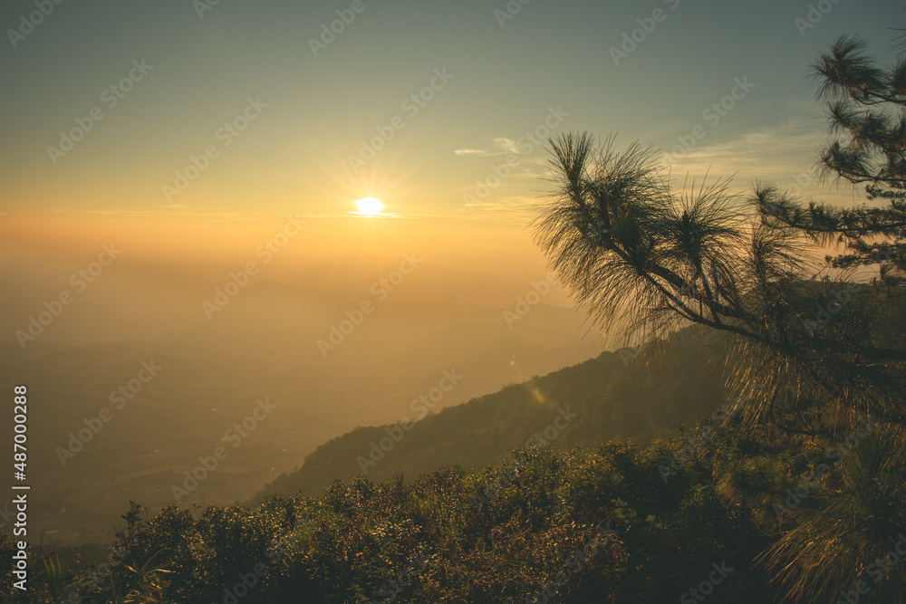 Morning sunrise and beautiful pinus kesiya tree and hill valley at viewpoint on top of Phu ruea national park, Loei province, Thailand. Photo with copy space