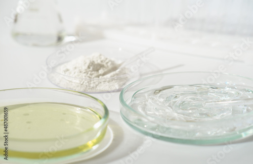 laboratory petri dishes with growth medium or culture medium and powder on a table. cosmetic testing in a lab, making ingredients safe.