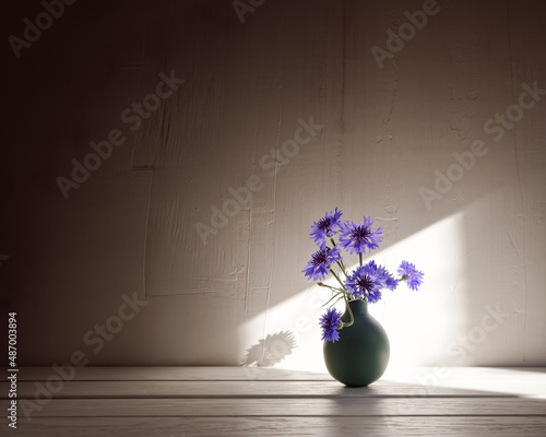 Wallpaper Mural Cornflowers are in a small green vase on a white wooden background and are illuminated by the sun's rays from the window. A simple rustic flower arrangement on a wooden table against a wall. Torontodigital.ca