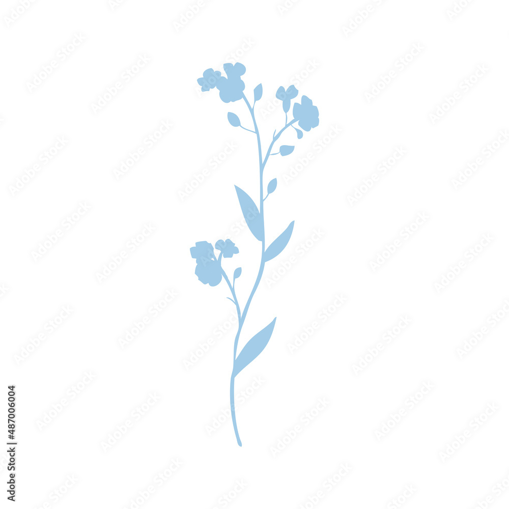 Forget-me-not flower vector illustration isolated on white background, colorful delicate silhouette, decorative herbal doodle, for design medicine, wedding invitation, greeting card, floral cosmetics
