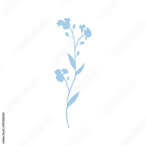 Forget-me-not flower vector illustration isolated on white background  colorful delicate silhouette  decorative herbal doodle  for design medicine  wedding invitation  greeting card  floral cosmetics