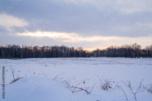 Corn stuble poking through the snow on a large cornfield with the setting sun in the background.  Room for text. photo