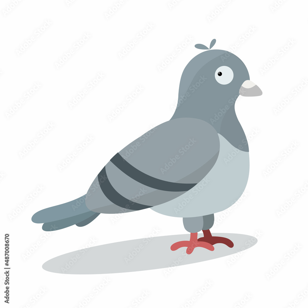Fototapeta premium Isolated vector funny colored urban pigeon without a contour on a white background for postcards, web design, stickers, posters.