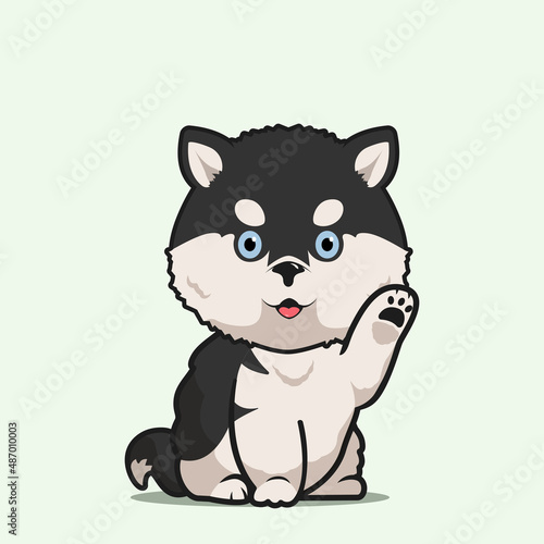 Cartoon illustration of siberian husky dog cute pose. Vector illustration of siberian husky dog