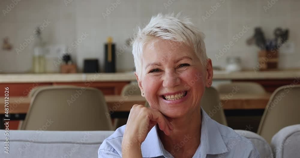 Head shot close up portrait happy 50s woman sit on sofa pose at camera, having wide toothy charming smile enjoy carefree retired life relax at home. Medical insurance cover for older citizen concept Head shot close up portrait happy 50s woman sit on sofa pose at camera, having wide toothy charming smile enjoy carefree retired life relax at home. Medical insurance cover for older citizen concept