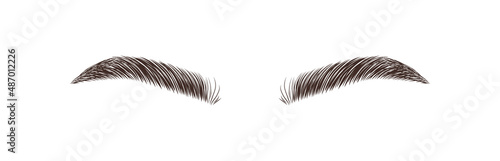 Realistic eyebrows on white background. Permanent make-up and microblading. Brow studio logo. Linear vector Illustration in trendy minimalist style.