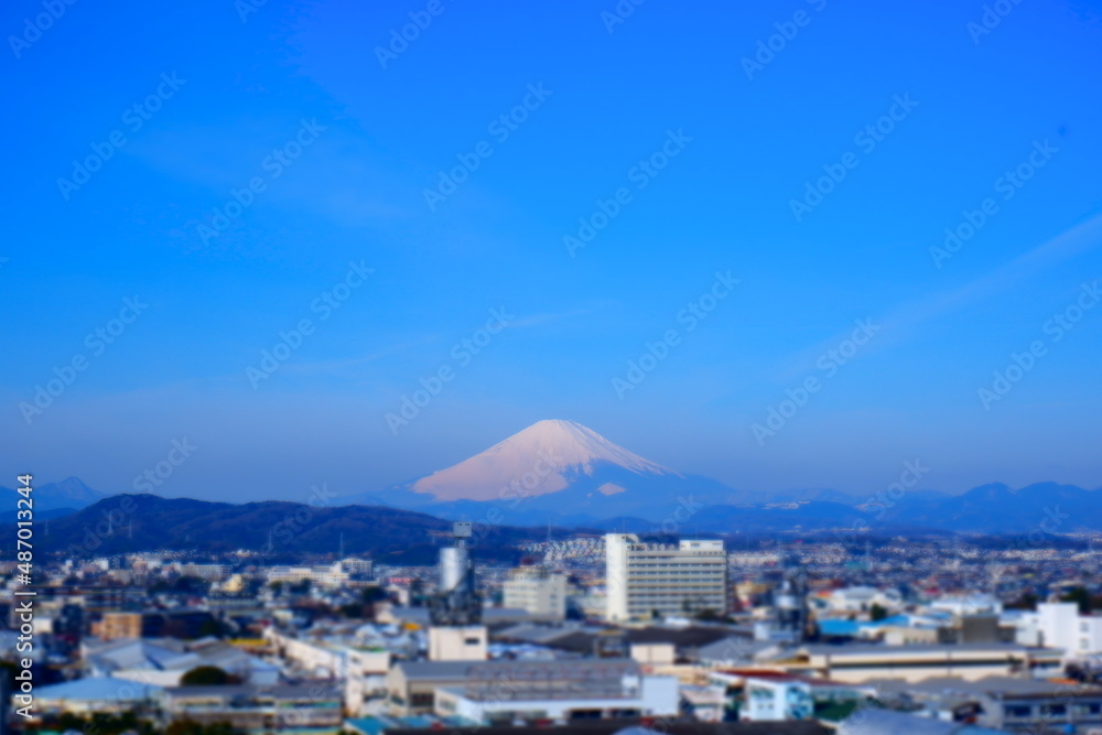 良く晴れた冬の空と、冠雪して真っ白になった富士山