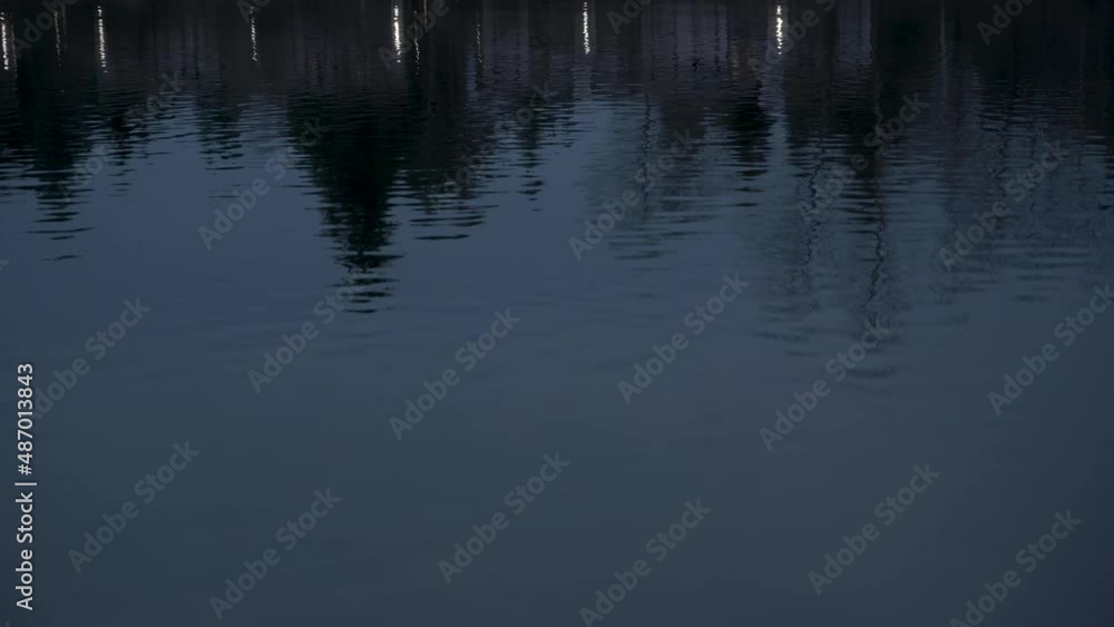 Looping background of lights and trees reflected on calm lake. Blue hour. Looping background of lights and trees reflected on calm lake. Blue hour.