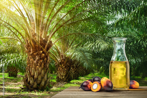 Bottle of palm oil with palm plantation background. photo