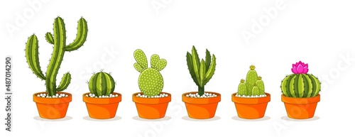 Cactus and succulent plants in flower pots. Vector set of Cute green potted cactus and succulents. Potted house plants collection. Isolated on white background.