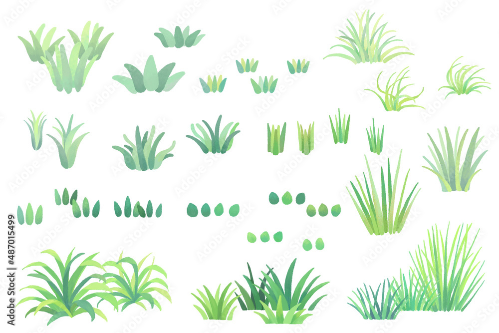 身近な草のセット 手書き風イラスト 草 長い草 短い草 雑草 緑系 デフォルト Stock Illustration Adobe Stock