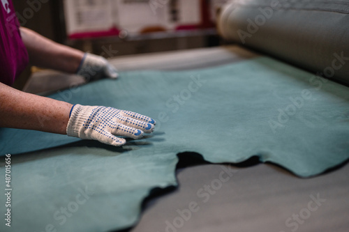 Photography Quality control of tanned leather of cattle. Tannery