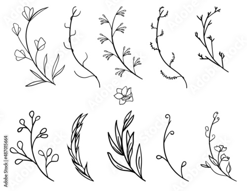 Floral Hand drawn wreath branch wedding herb plant elegant leaves invitation design save the date card botanical element