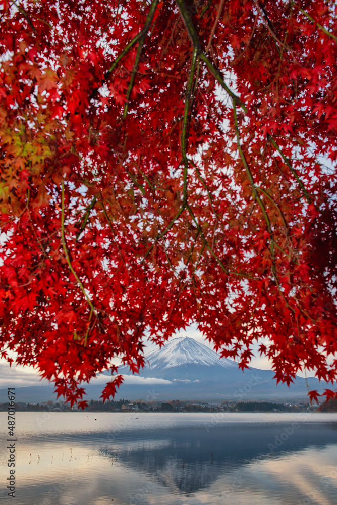 Fototapeta premium Fuji Mountain and Red Maple Leaves in Autumn Cloudy Day, Kawaguchiko Lake, Japan 